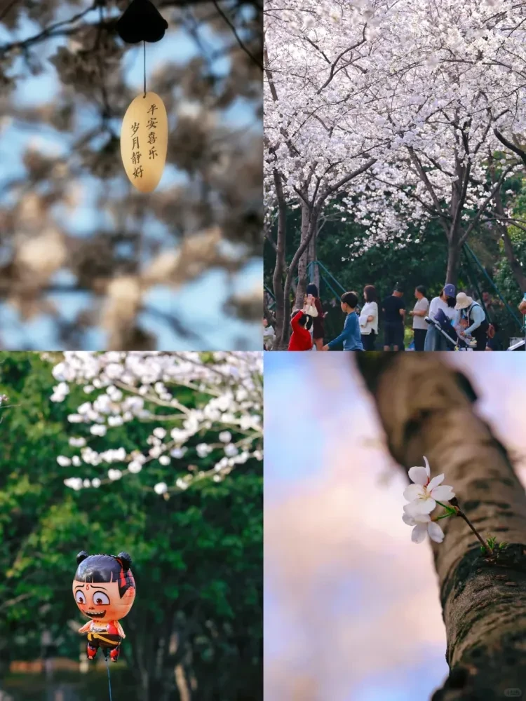 73fde8e98c201d931c7d8ad3b43f5959-sz_3214239