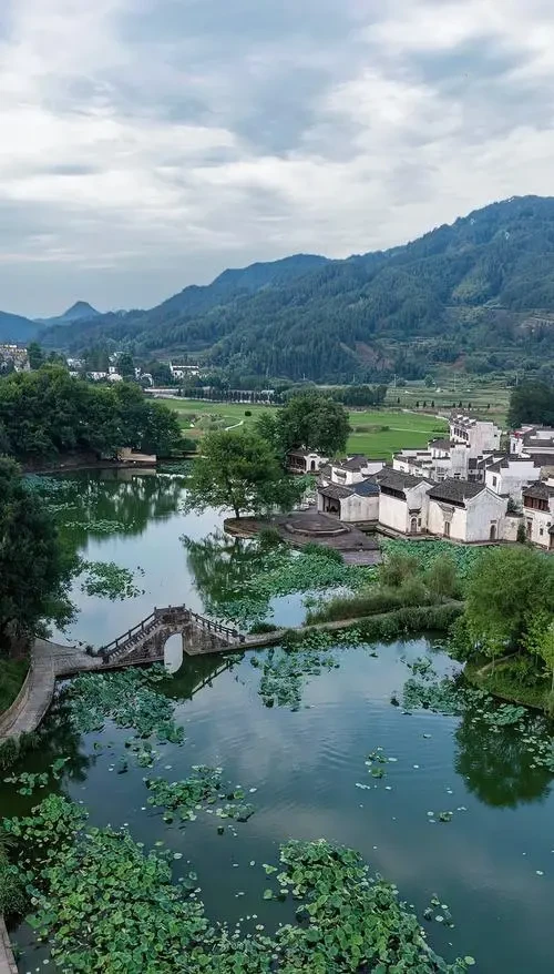 743392c396a42a86705bf0004493d281-sz_90675