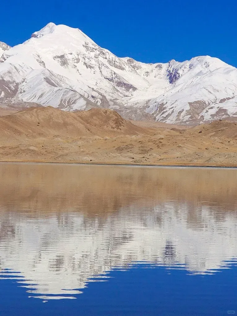 74408379f64bf5789be01ea41defb9e3-sz_1407165