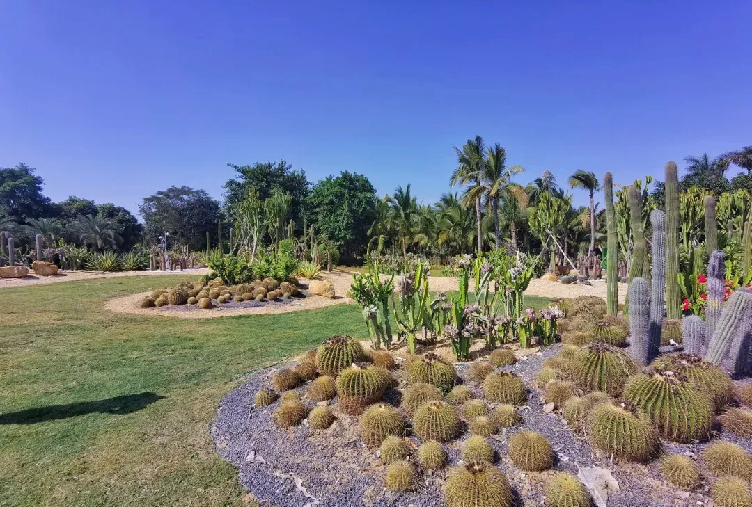 746438272d2b8a5a0ba61c05c424d664-sz_1313462