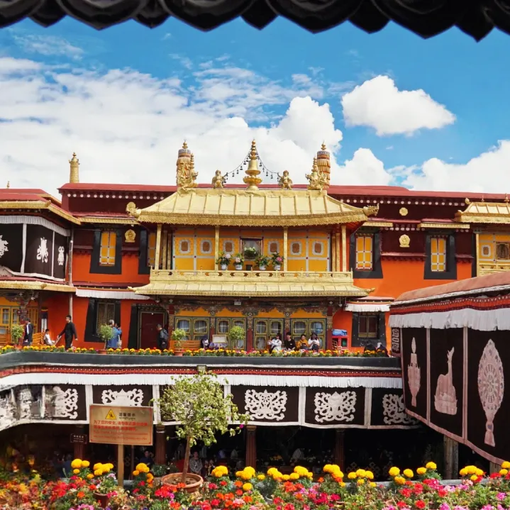 7474ef04d9e759640493f269a884e9a1-sz_2396817