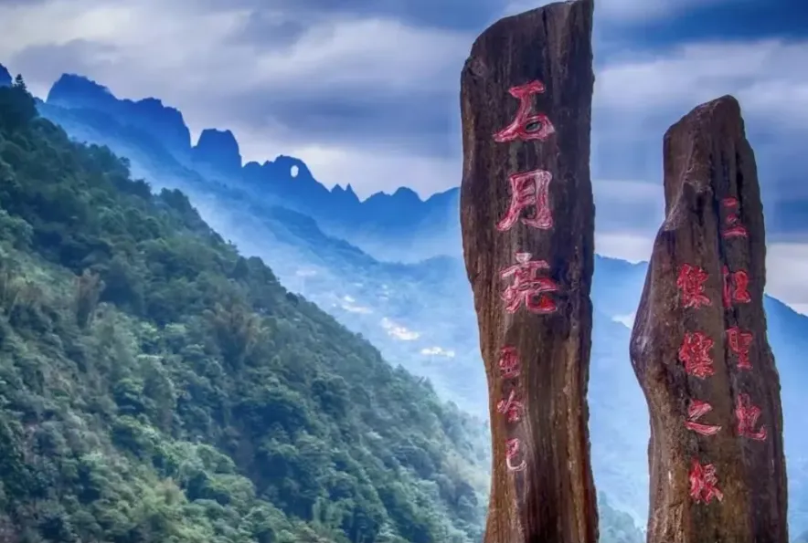 74995085113957ef3e21fcf244462092-sz_1277365