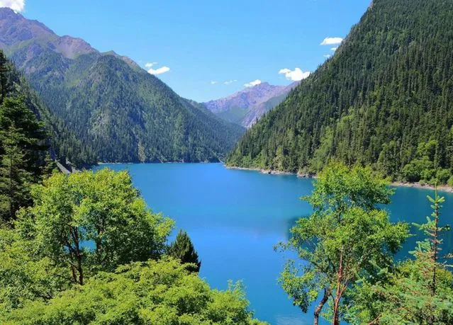 74a1151ba19c6a8fb92cd286e25f0995-sz_84549