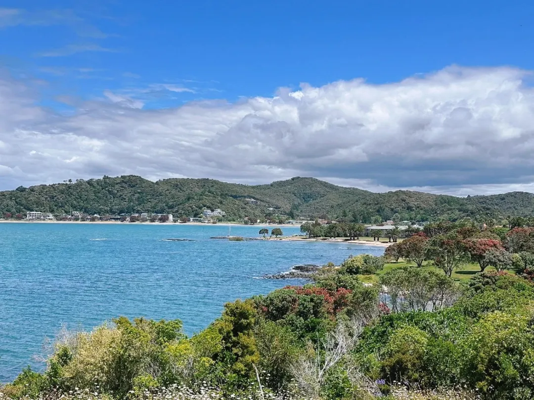 74d5488e5edcfb30d38aa9c1cc53bbd3-sz_477083