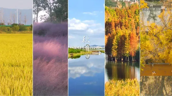 74db494bba27f22674d5f08169a5da03-sz_354247