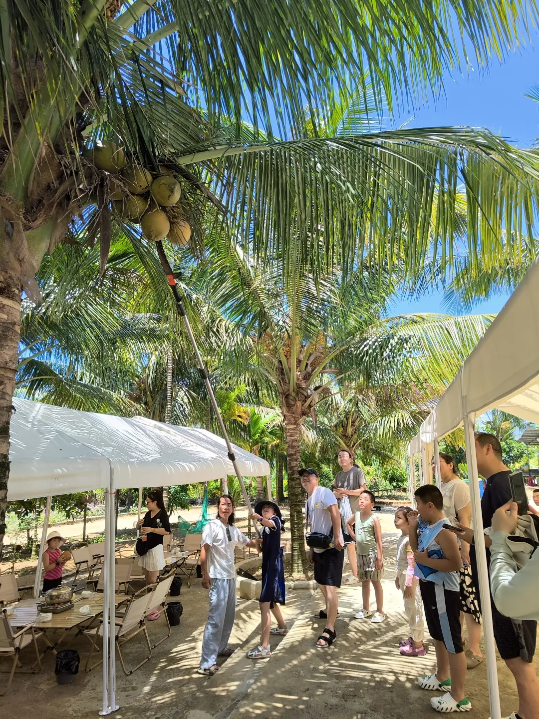 74dc0d2c8ce9a2fad240a991c2659fde-sz_5985359