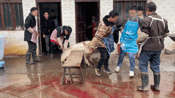 74e3bb95d28c8eeb0aec732533d244e3-sz_5890663