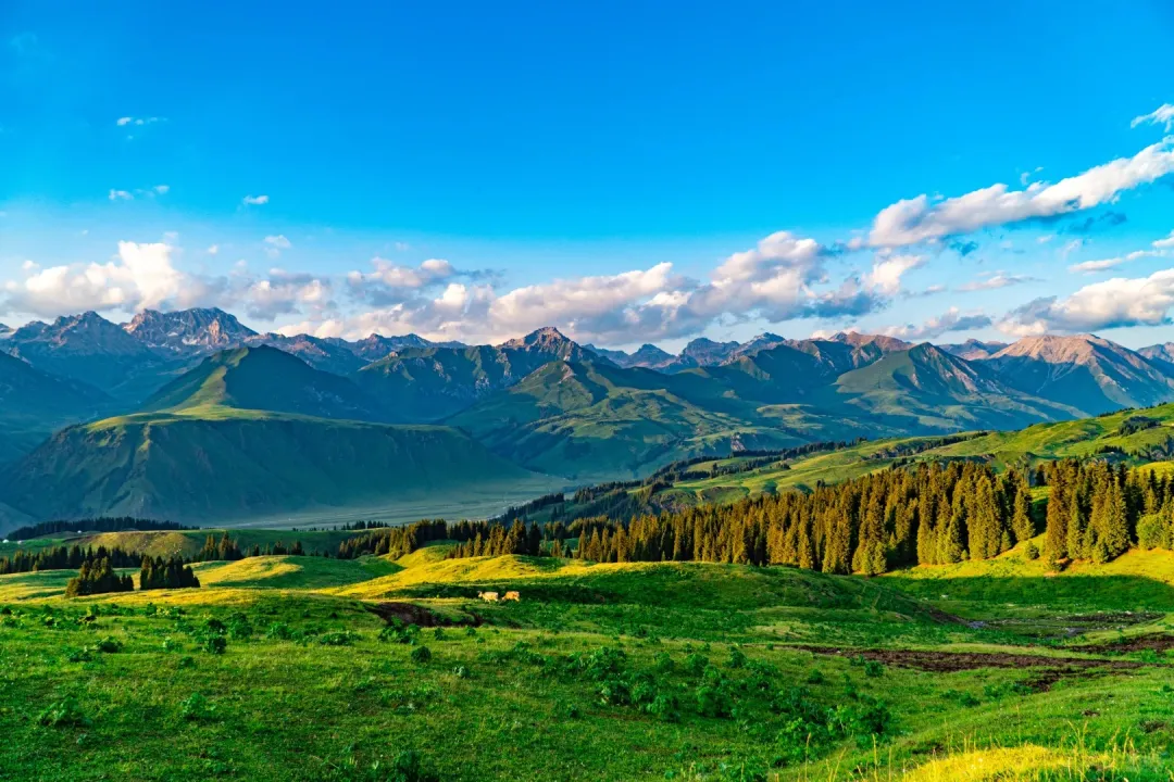 750979f5e368c4a9e7e21a7e1c616728-sz_552568 750979f5e368c4a9e7e21a7e1c616728-sz_552568