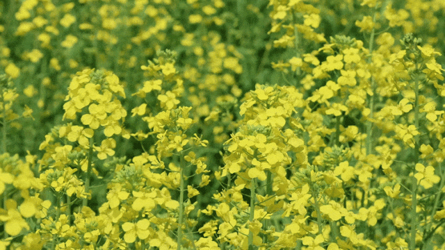 751b22938151457c70c01e7fcbd94970-sz_4795279-1