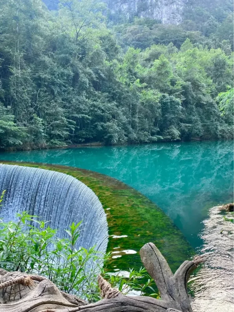 751f4c3c4b0c69309ea179d3604df823-sz_4018590