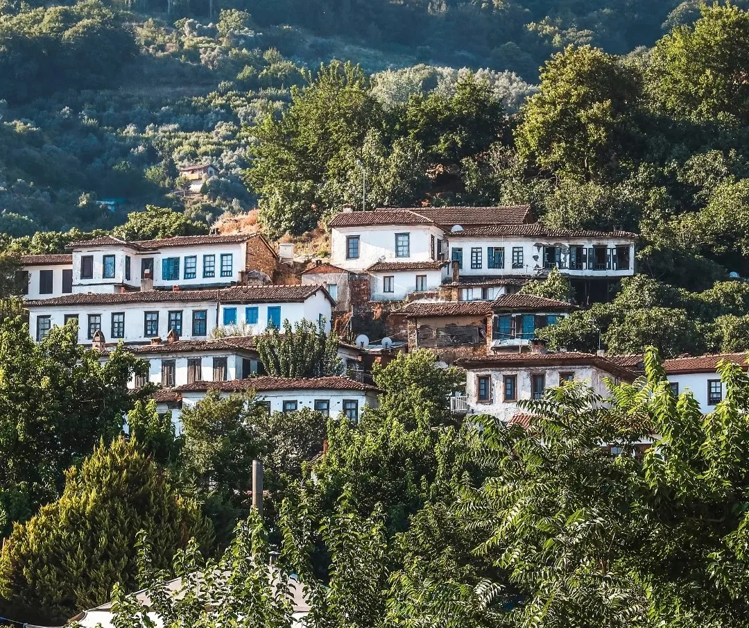 75d4365f67028f78a75881a9cf71e7a7-sz_859518