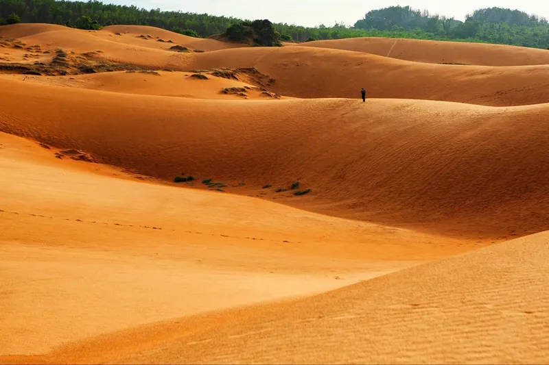 760cd012b232479fdad143033d192b74-sz_123073