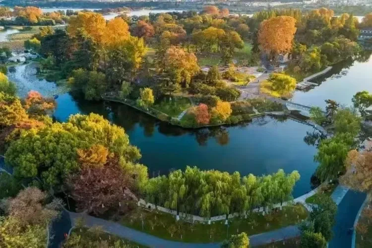 761b8cd70c7bbf88803c309473a6f860-sz_1066300-1