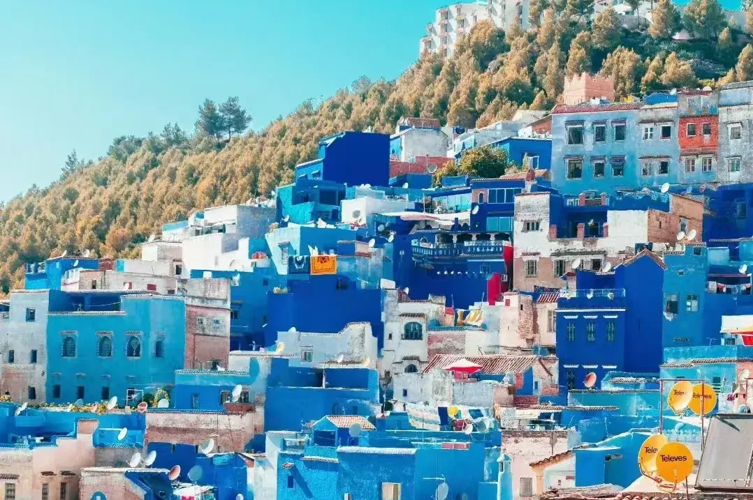 76781df0a16bbf4aebb4848ee1615336-sz_3081125