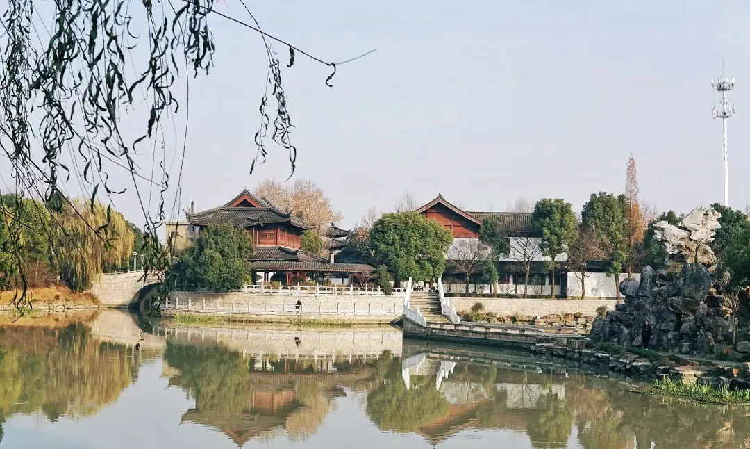 768105a901ea5548ff99bbb560e71d1a-sz_548794-1