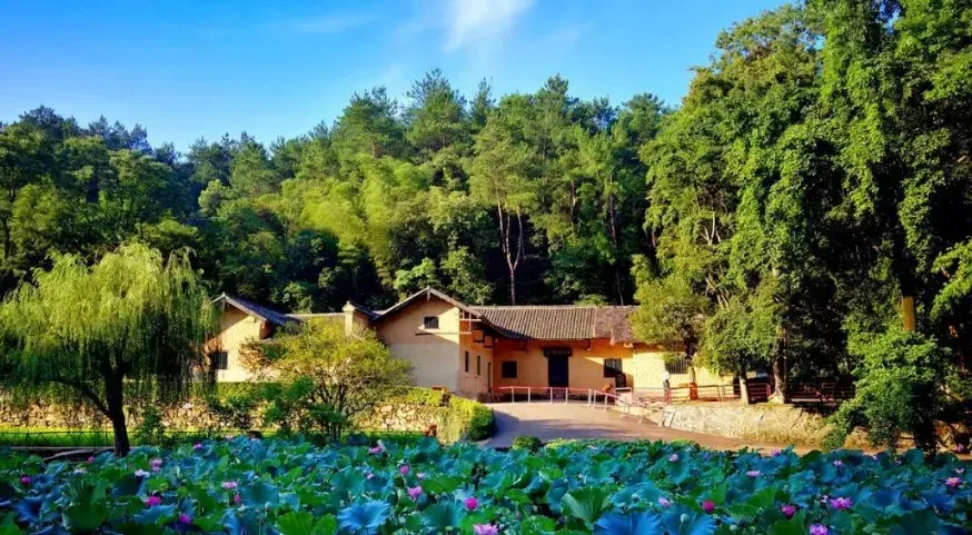 7682ba54c6a3ee634c161c1165245939-sz_1135815