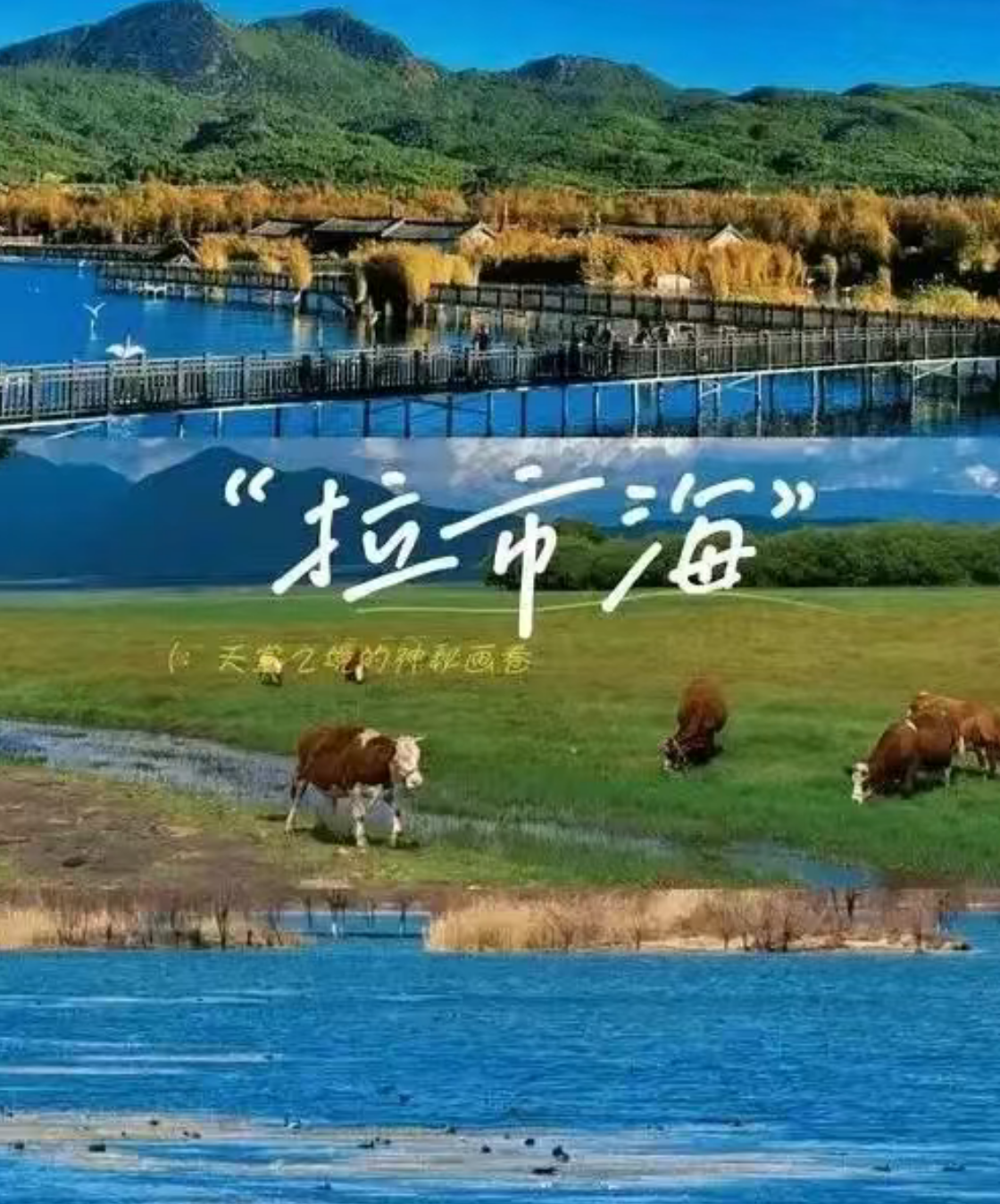 769cba995e28ed58168a736c91705314