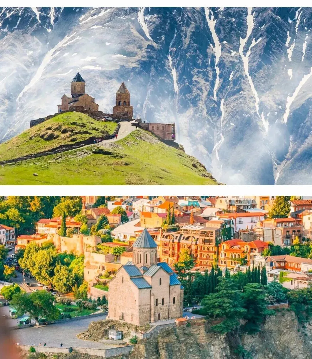 76d0191c8679cf931a46ea9dd2f9b2b7-sz_433742