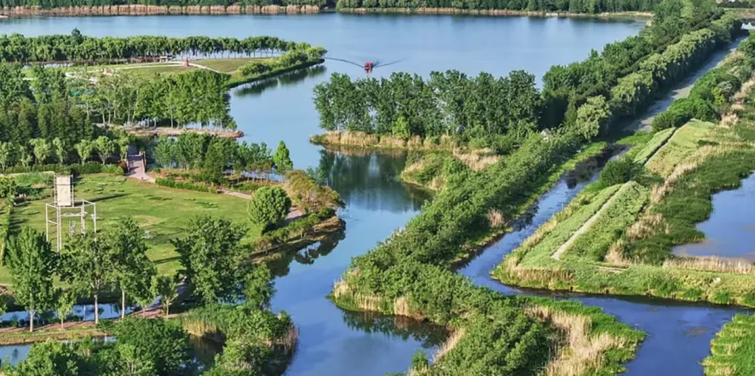 76f2b11fcf36a77506756b18116cd401-sz_852362