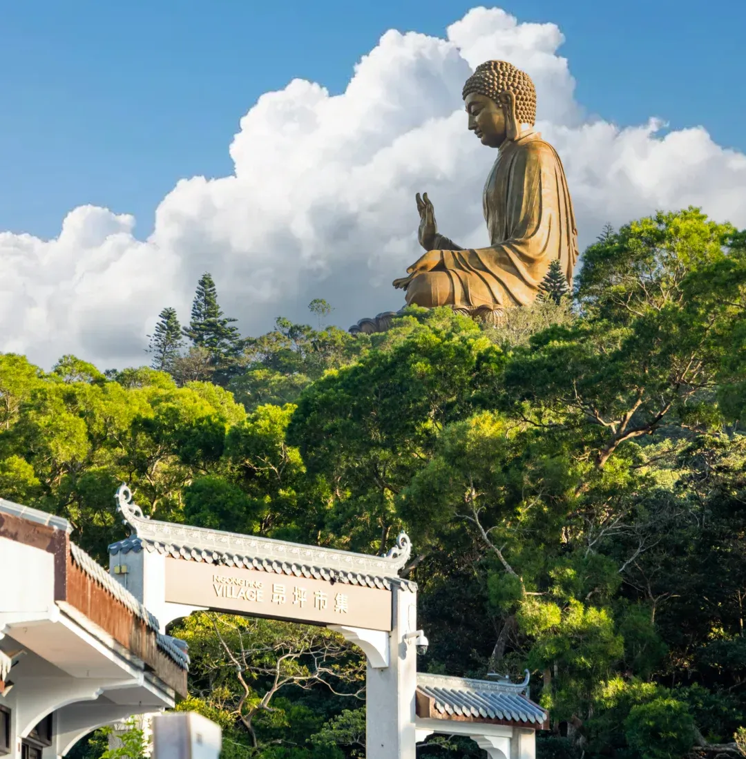 7725f8da28fda04fea67e759f7b5af79-sz_2876982