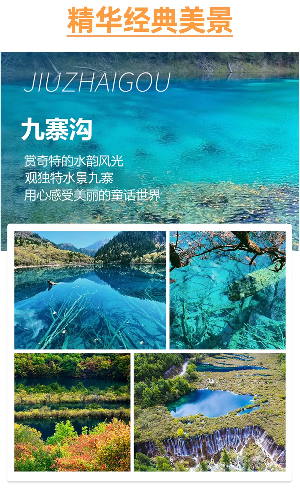 7726b4142075aae7e369d0b68f206873-sz_1454111-1