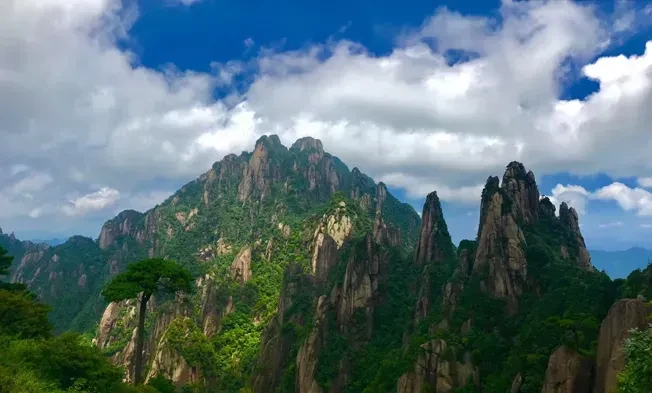 772b9d8065bc3483631748b0b367bfc7-sz_353222