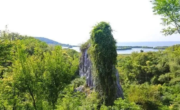 773ff090e3a049c8969675f39422ec07-sz_71670