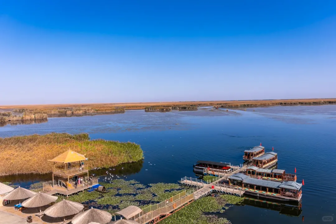 7795bf5c784f1cc62935b57d0fbcbeb5-sz_2254490