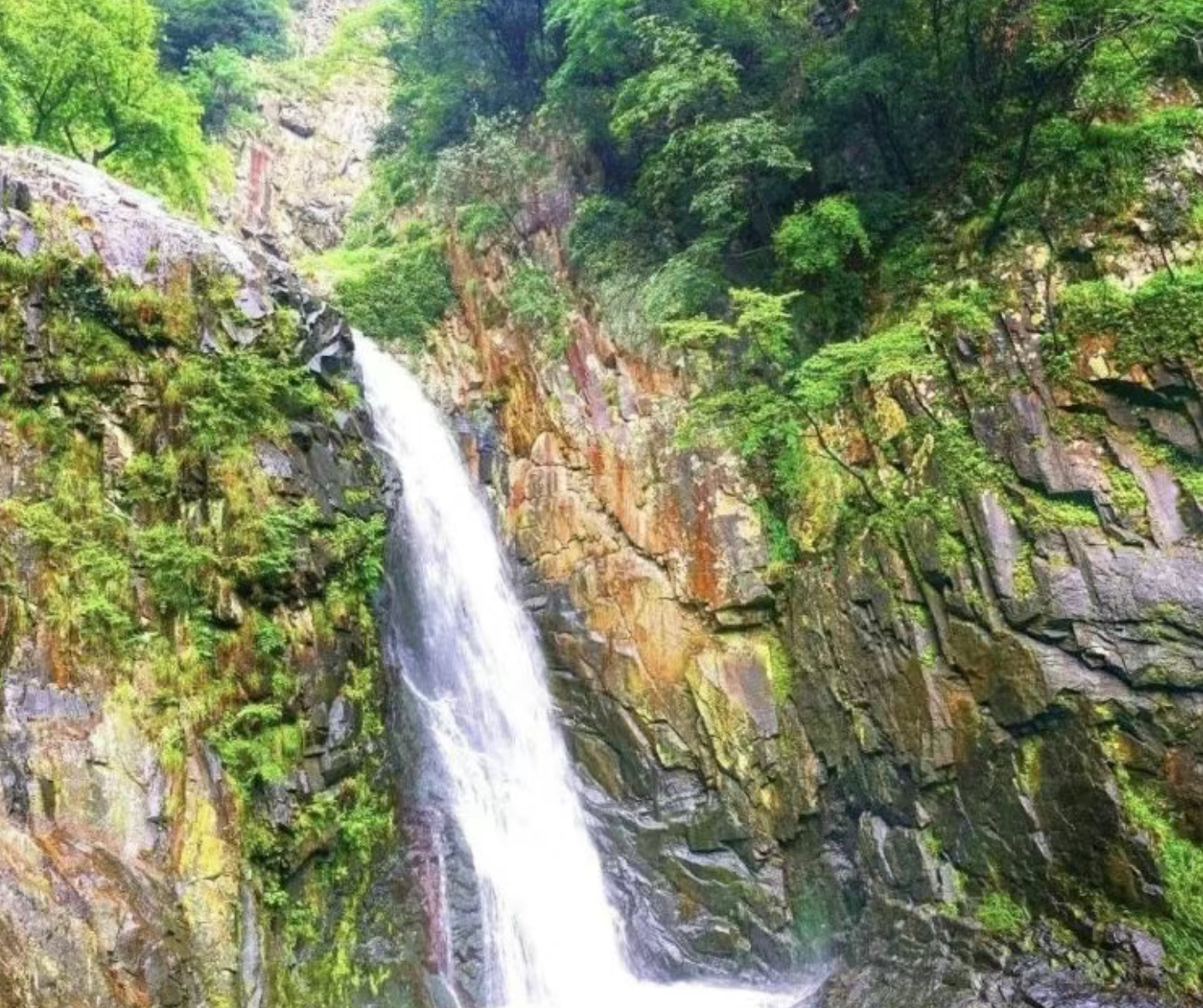 77e6908c8f9163698c2ae4f22e0842ca