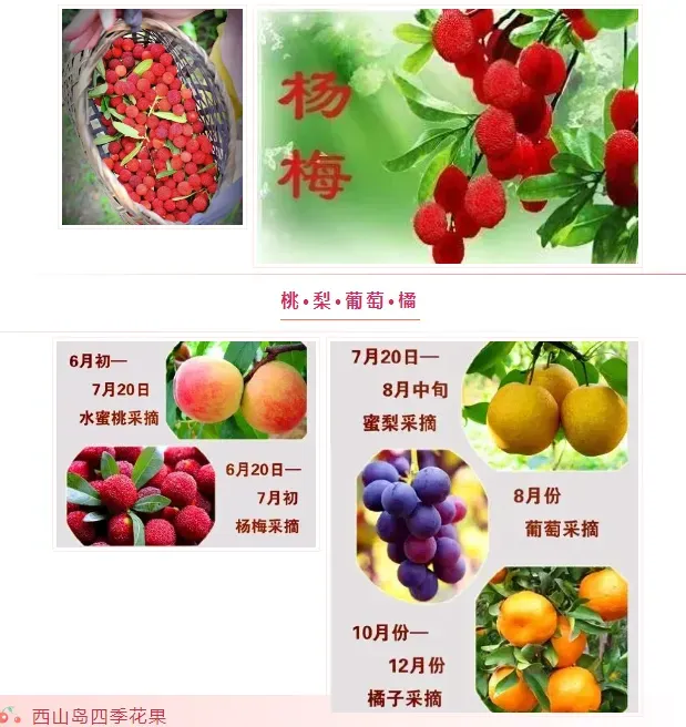 781c04d8150d5f62c86723385e143f04-sz_446746