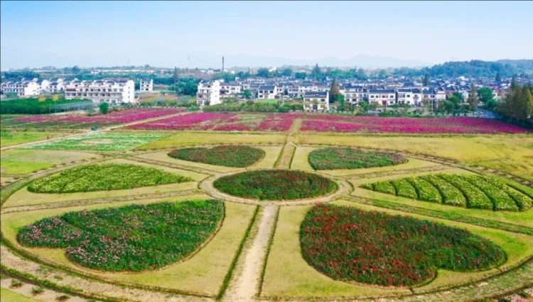 78544a17e6f35eff8a1abf06c33b1739-sz_1367778