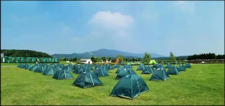 78bbf3359153a389e66875077379bf03-sz_1014471