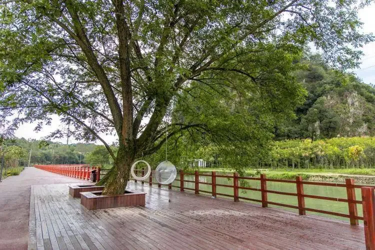 7947079188b3f405191e740168382232-sz_269078