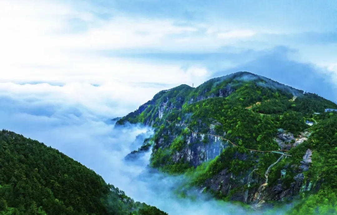 796eaac556f542c35a759dfbfb25df77-sz_3345018