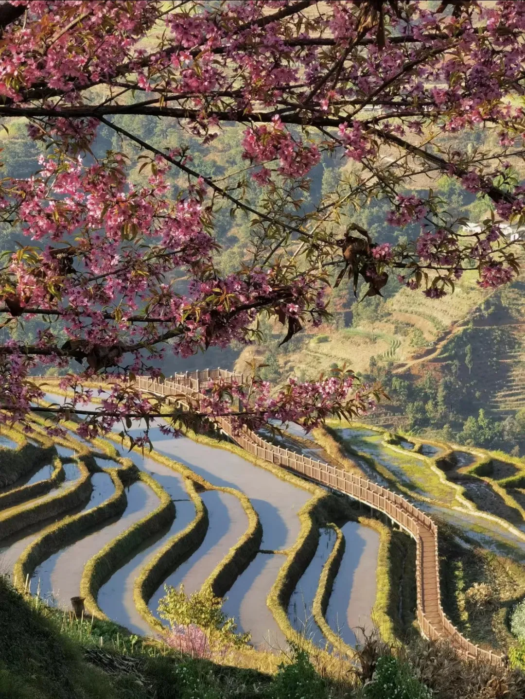 797aaf0a4c5e155bf184cca4b118c444-sz_911153