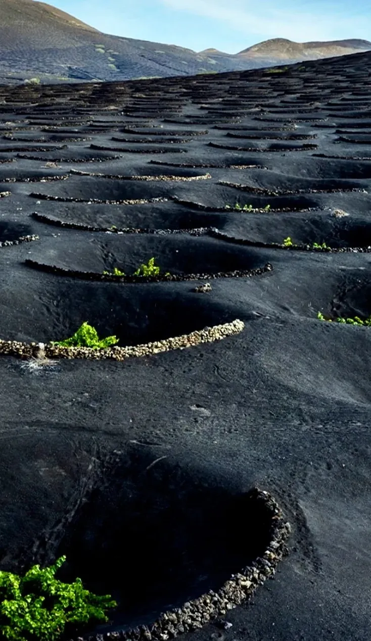 7996fbff69bf2e6e7eda893ac31b0115-sz_346389