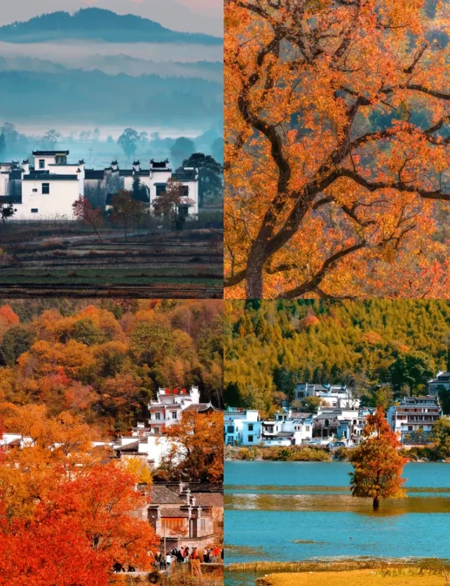 799dc5e630baa435ffa50c14de7a8c9e-sz_1215691-1 799dc5e630baa435ffa50c14de7a8c9e-sz_1215691-1