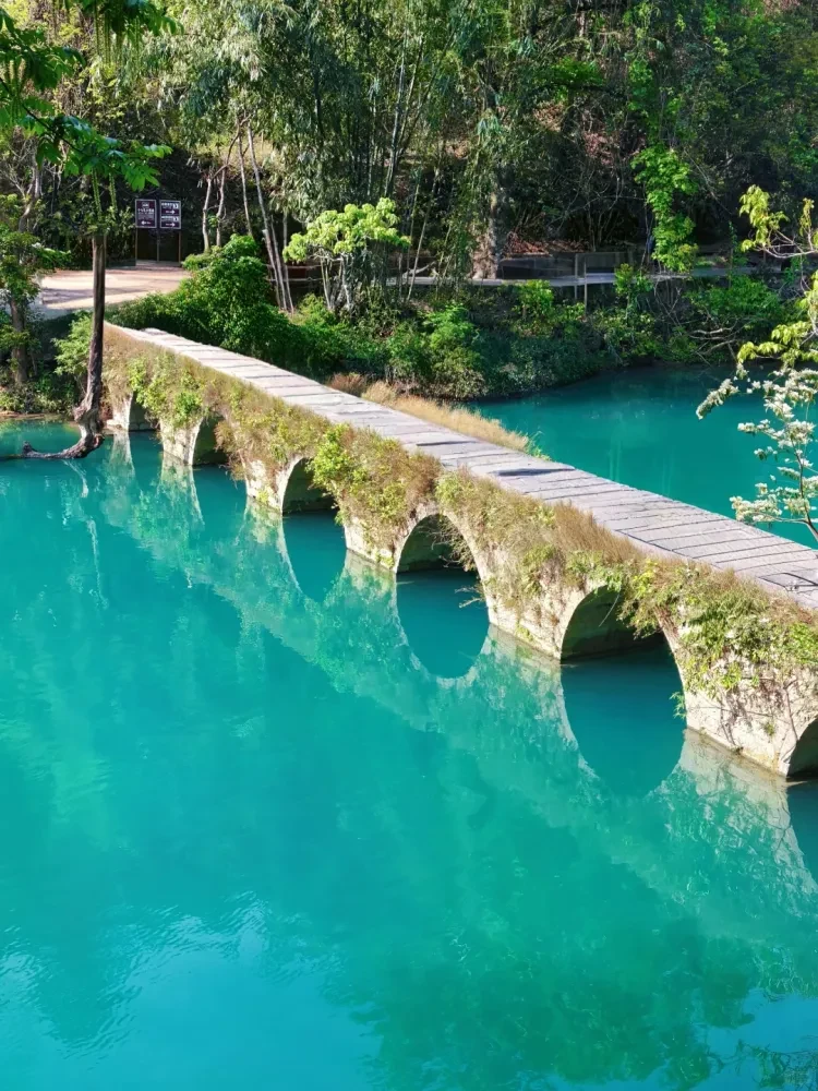 79b7879b5afc0cab6c05cf7a75d932d8-sz_3149285