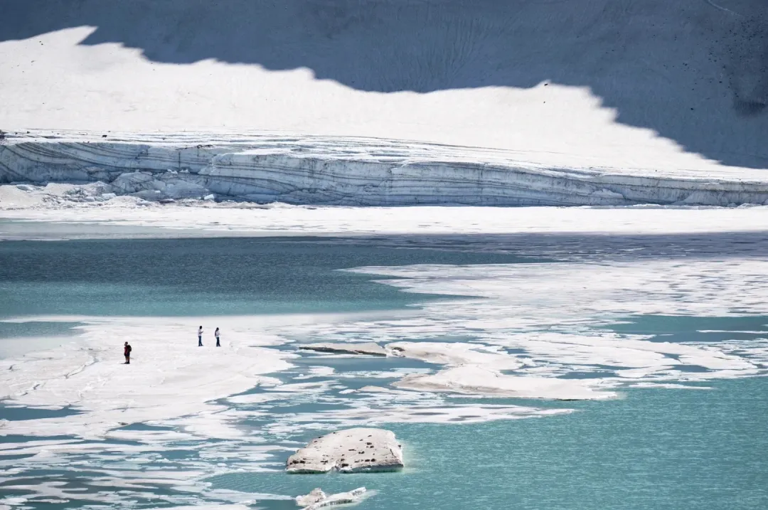 79ba8cfdcb432ce460ce4ef14636b620-sz_475057-1