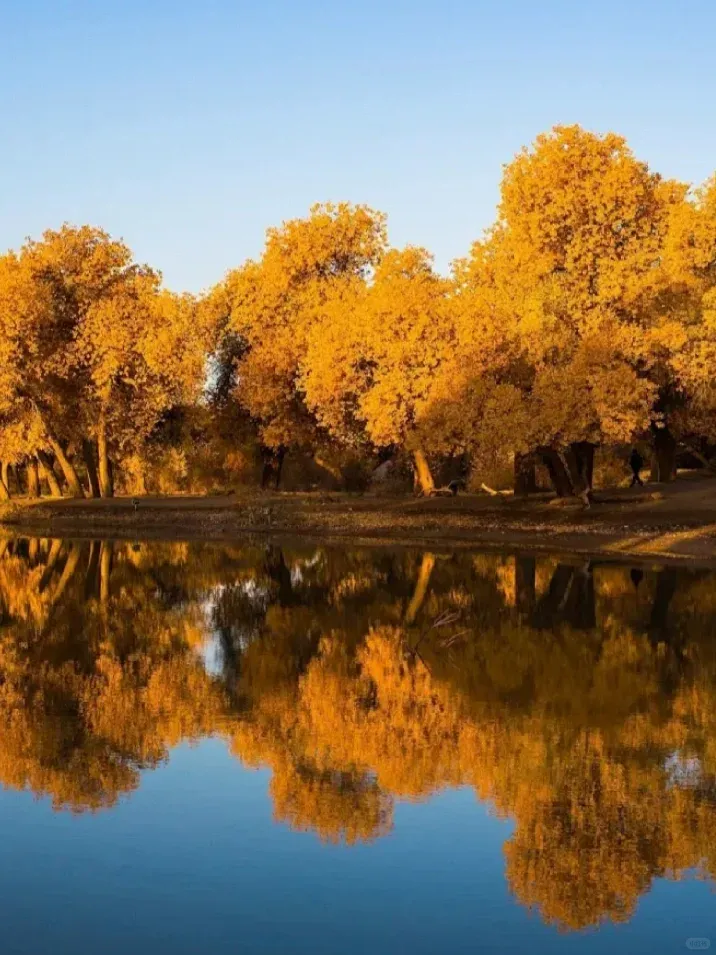 7a57a568e897058262c155d00e08f3aa-sz_1277694