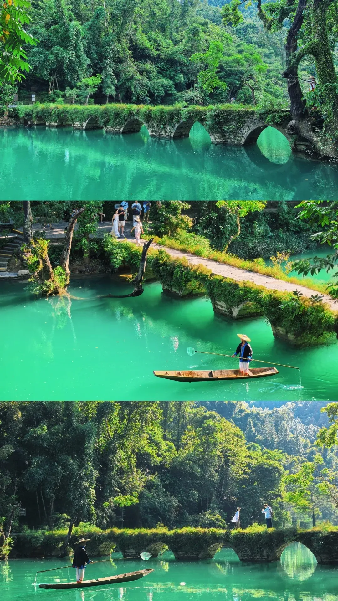 7a9b0961d6d8d8d6a6a276d80e6e4a3e-sz_875060