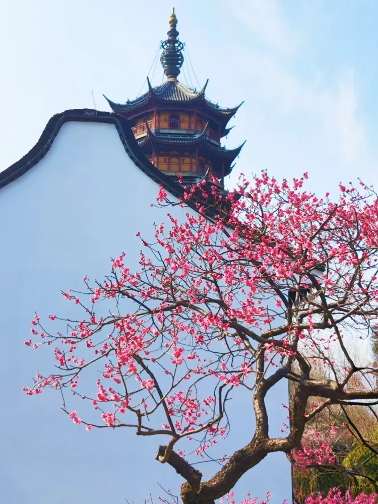 7aaed02b1dbcc048963668911014391c-sz_2272020