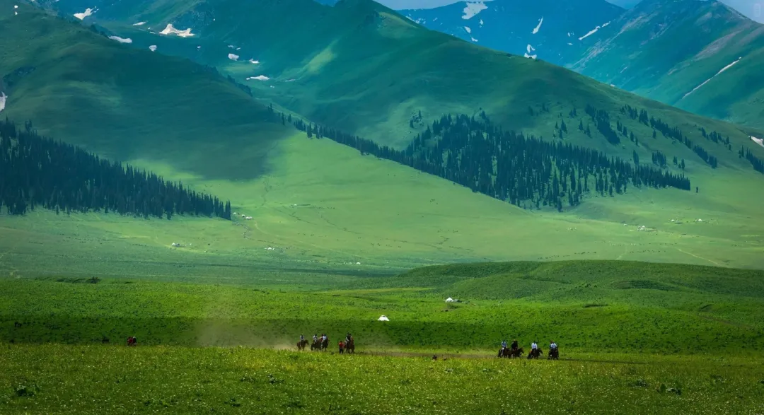 7ab1da339b256513e47509bd355187af-sz_1285167 7ab1da339b256513e47509bd355187af-sz_1285167