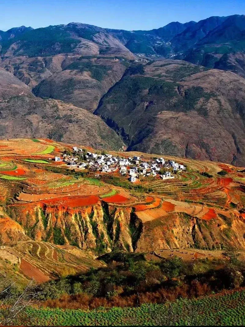 7b3b5a87ac6278a042be51c5afd48a87-sz_2269139