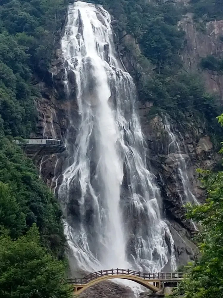 7b6ee070c2d745a147436f9df95e5d2d-sz_243106