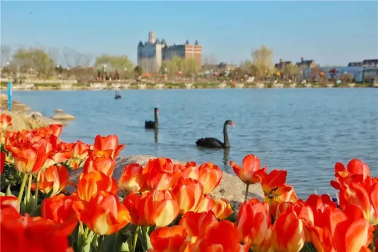 7bbc58744e02ba897955f899ebc8dd38-sz_193676