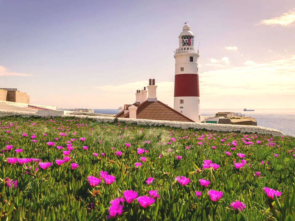 7bfaadeef0e4cff0433518ca35f0a051-sz_1283136