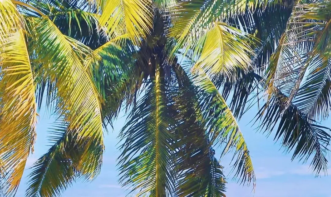 7c62d1a23a709b9ee8d0567f8ba1db6f-sz_971577