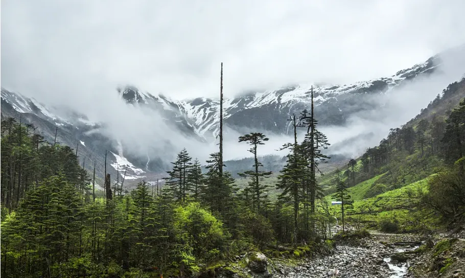 7d39eb2a6f503c54bbd3ce6fc5c2fd74-sz_983358