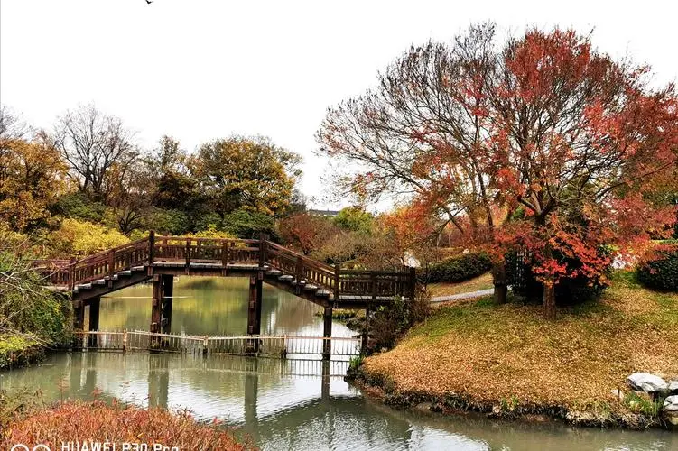 7d5b7548b3a53fd7d957562e25ddca9d-sz_115773